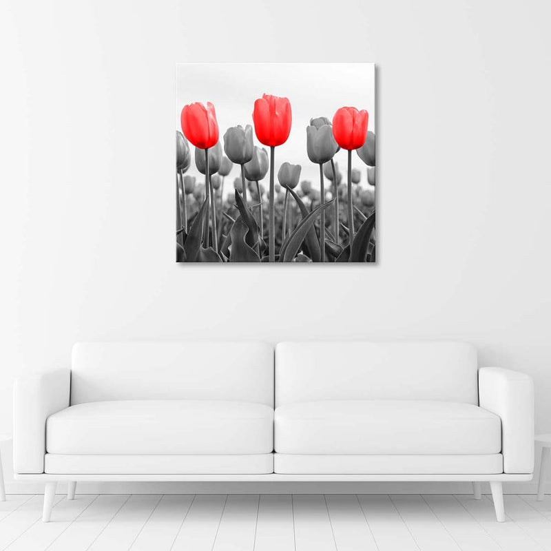 Deco panel print, Red tulips in a meadow