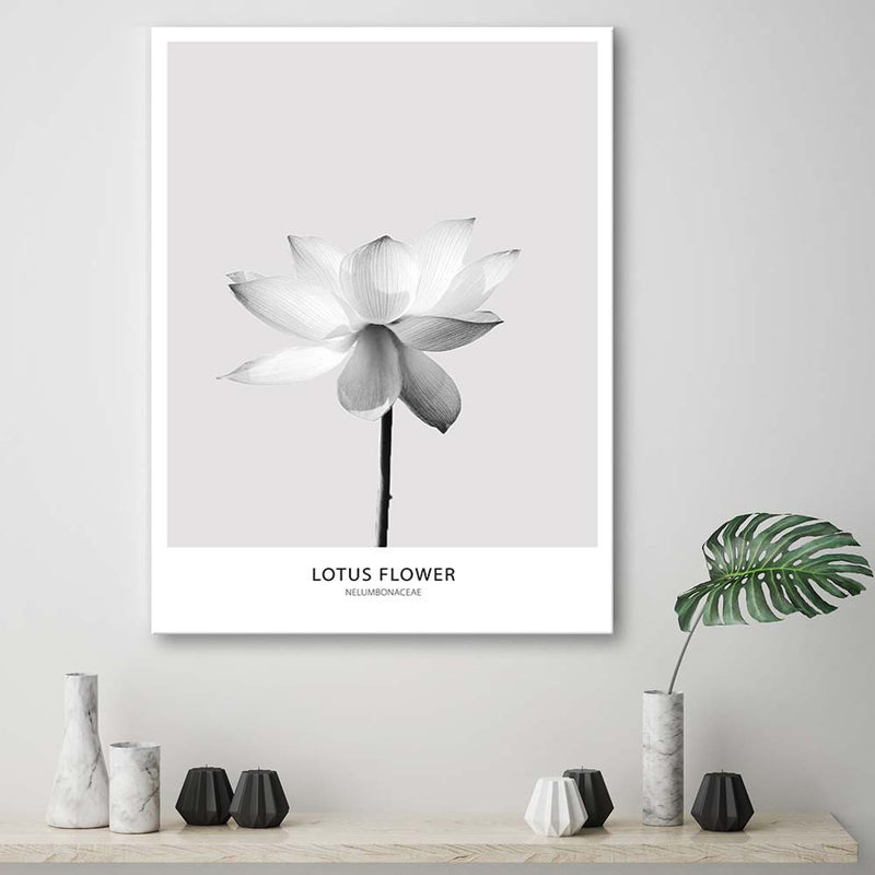 Deco panel print, White lotus flower