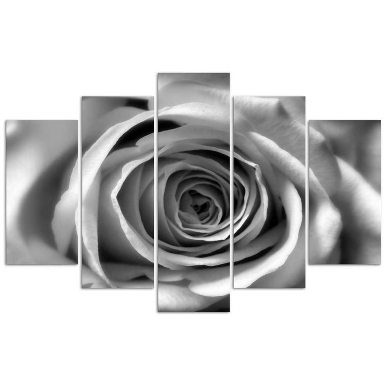 Five piece picture deco panel, Rose flower