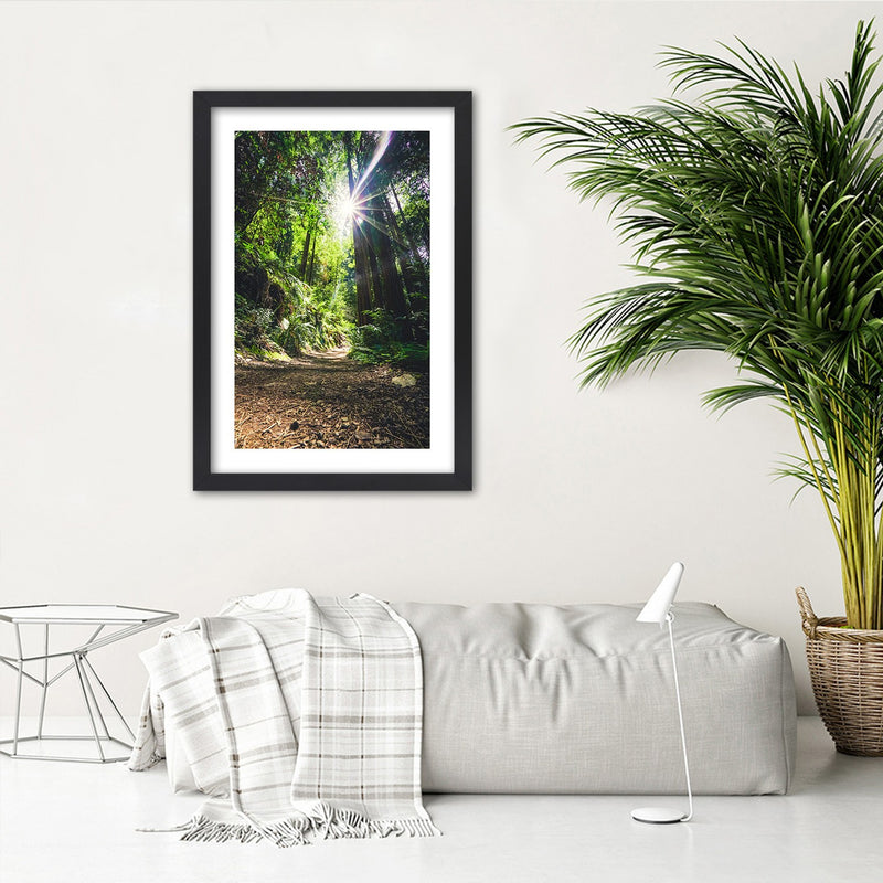 Picture in black frame, Path in a dense forest
