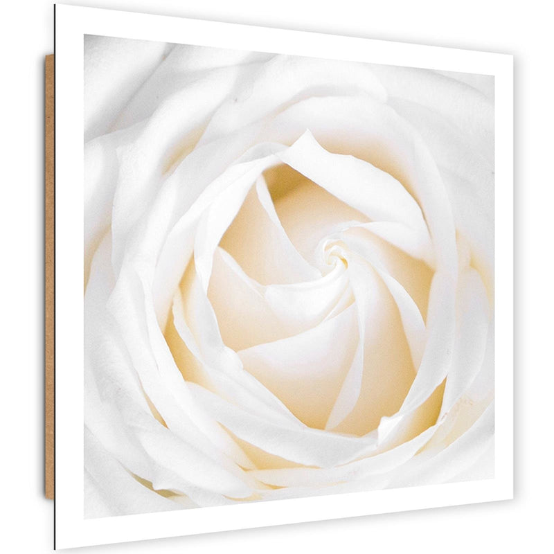 Deco panel print, Delicate rose