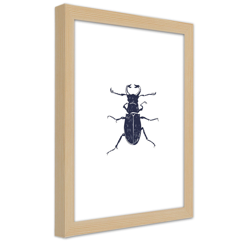 Picture in natural frame, Black beetle
