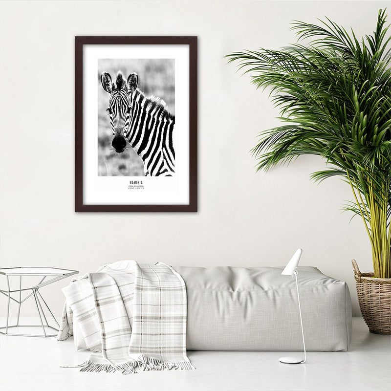 Picture in brown frame, Curious zebra
