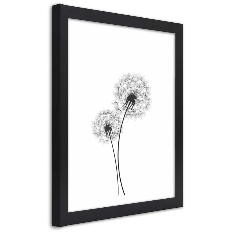 Picture in black frame, Drawn two dandelions