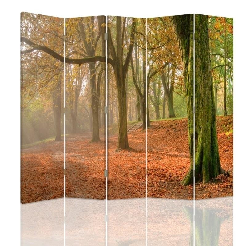 Room divider Double-sided, Autumn in the forest