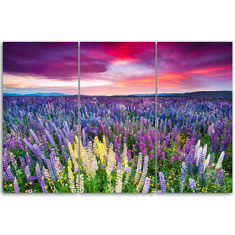 Three piece picture canvas print, Flowery meadow