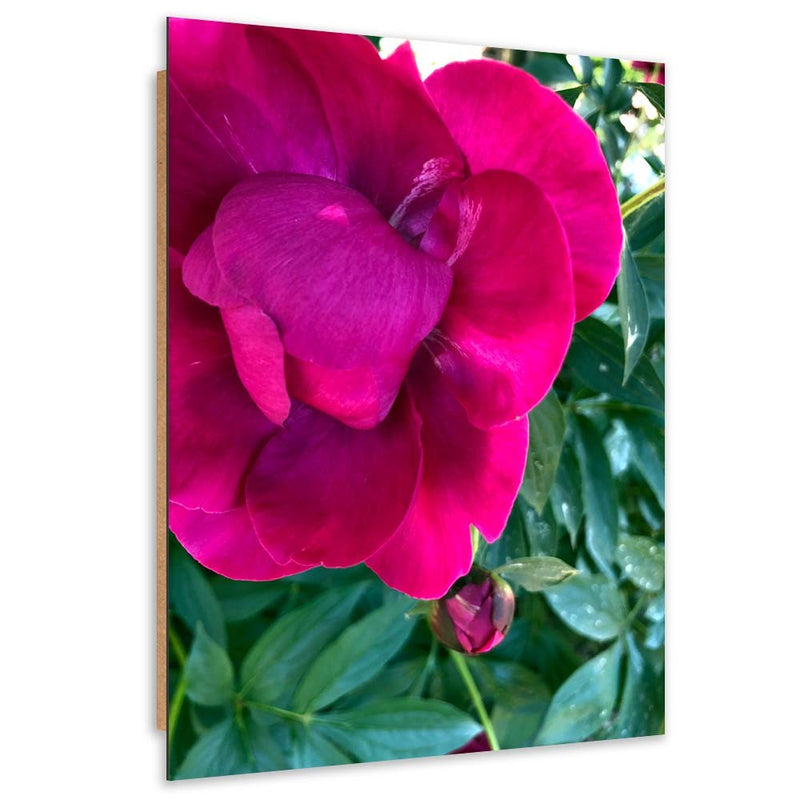 Deco panel print, Large pink flower
