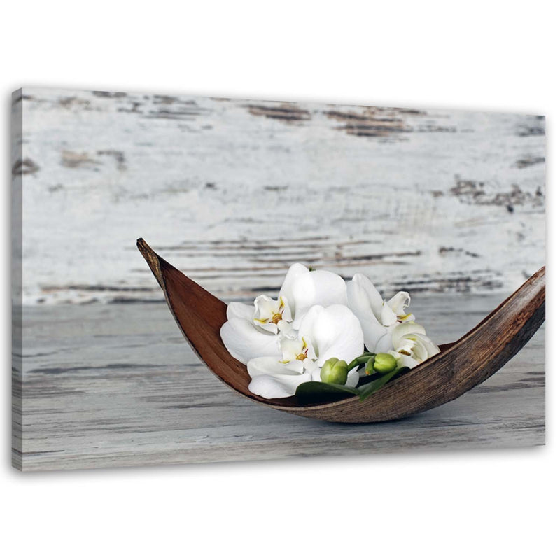 Canvas print, White orchid flowers