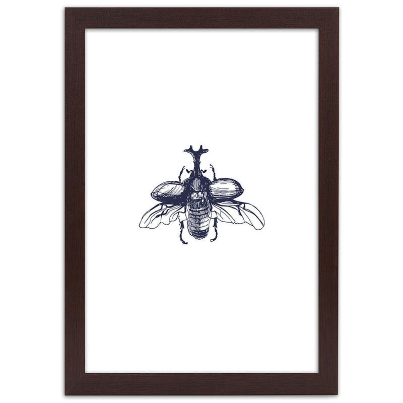 Cuadro en marco marrón, Escarabajo volador