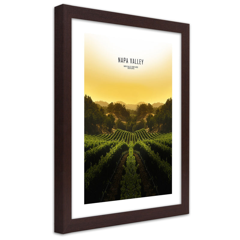 Picture in brown frame, Vineyards in napa vallley