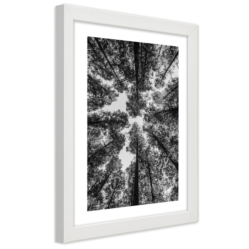 Picture in white frame, Crowns of trees