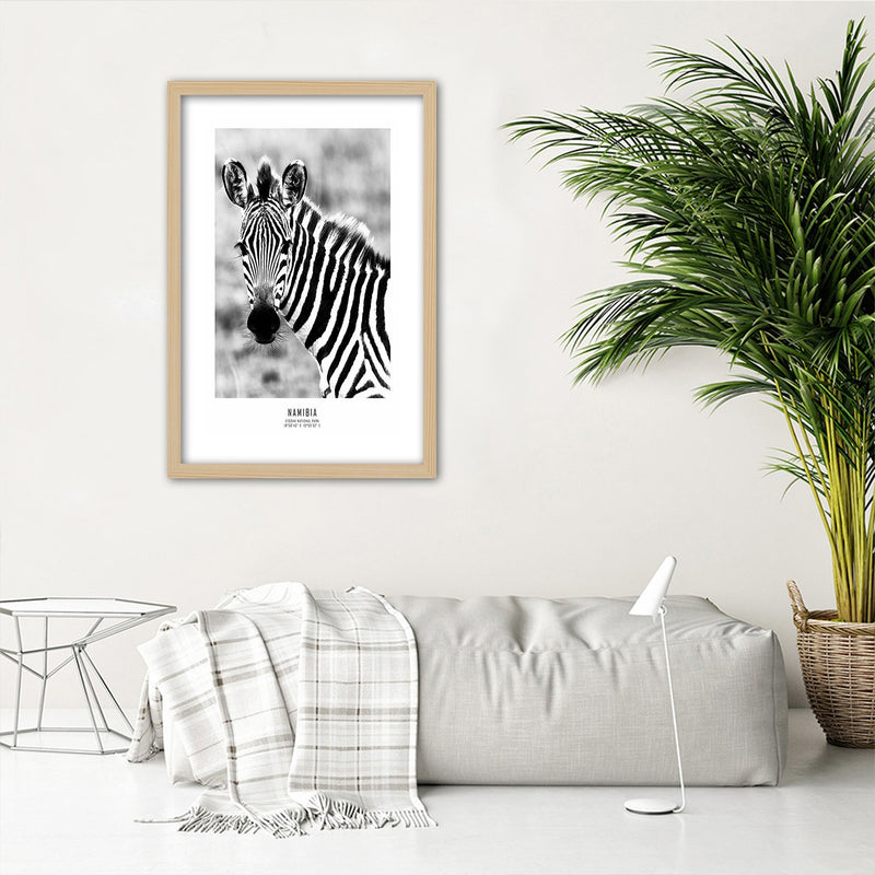 Picture in natural frame, Curious zebra