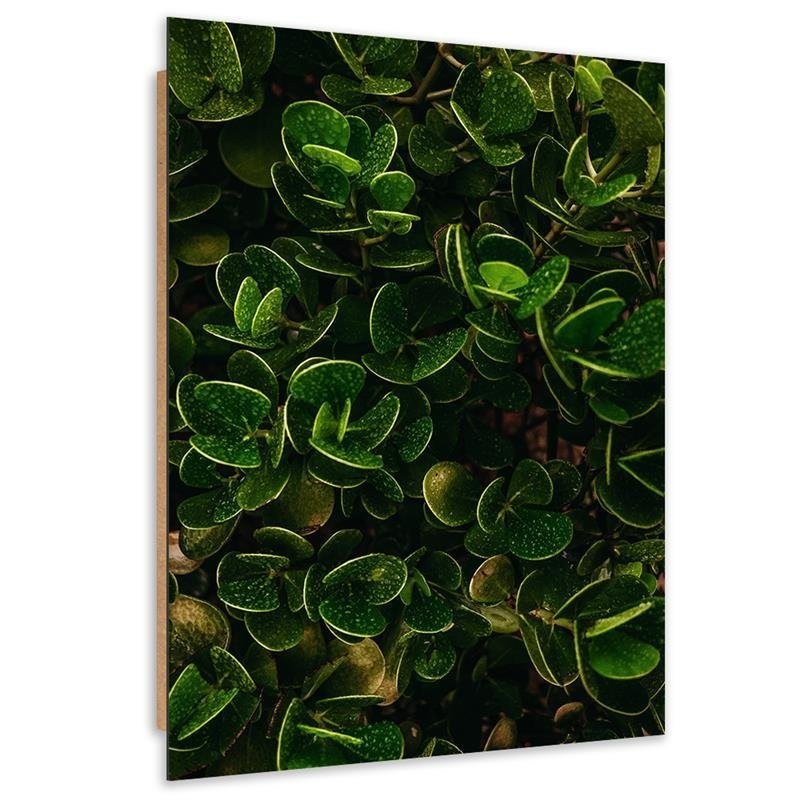Deco panel print, Green leaves of exotic plants