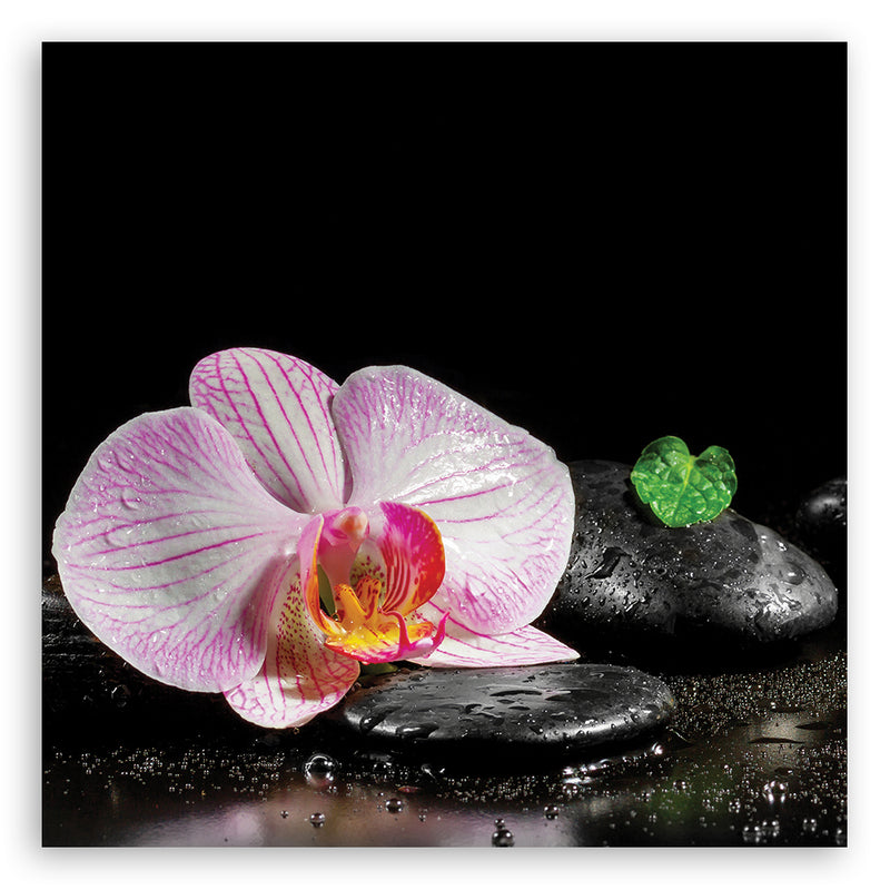 Deco panel print, Blossoming orchid zen
