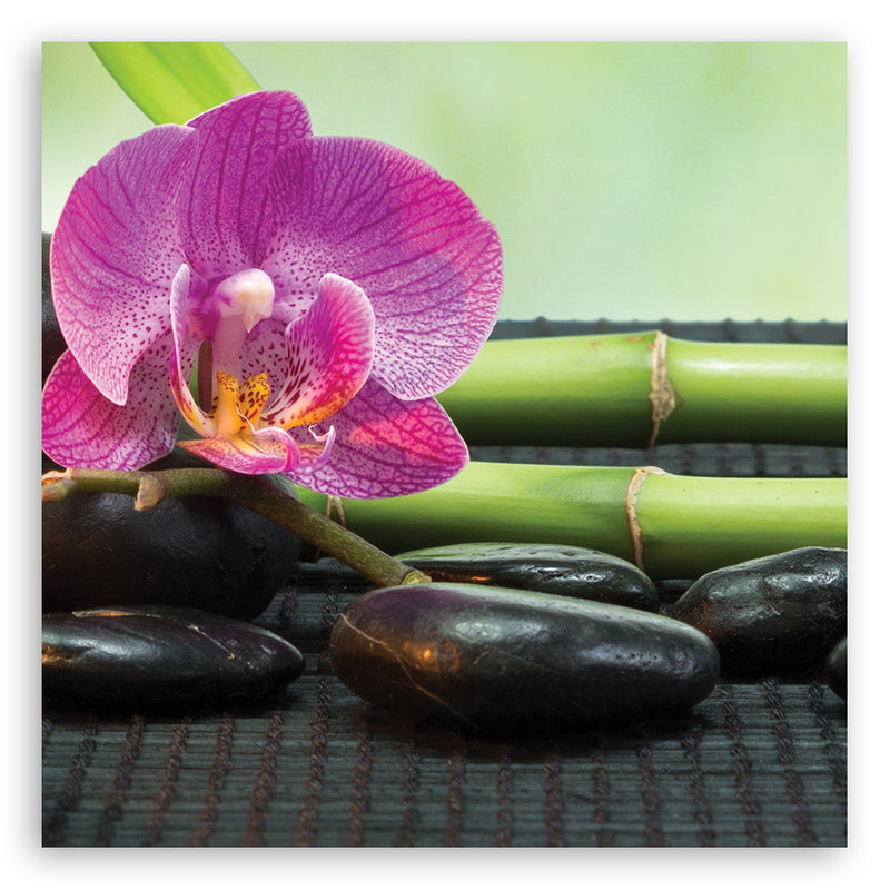 Canvas print, Orchid on black stones
