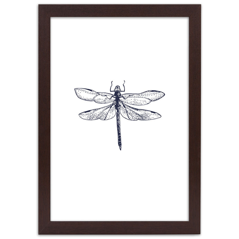 Picture in brown frame, Dragonfly drawn