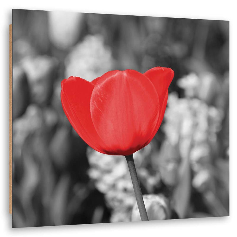 Deco panel print, Red tulips in the meadow