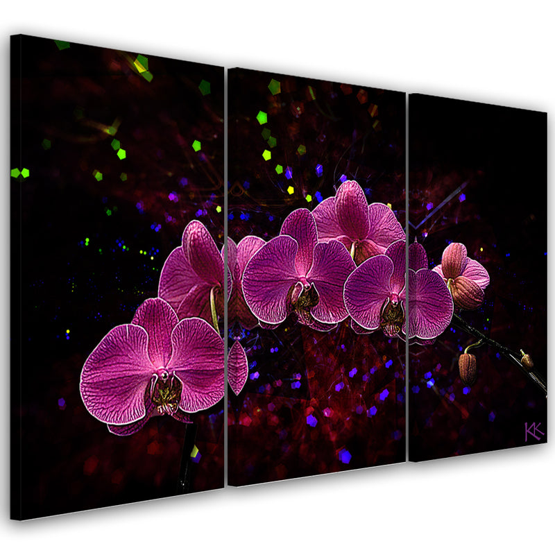 Three piece picture canvas print, Orchid on dark background