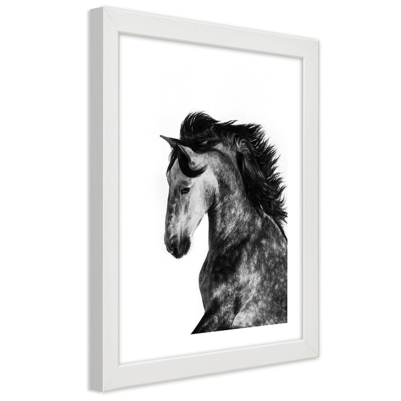 Picture in white frame, Wild steed