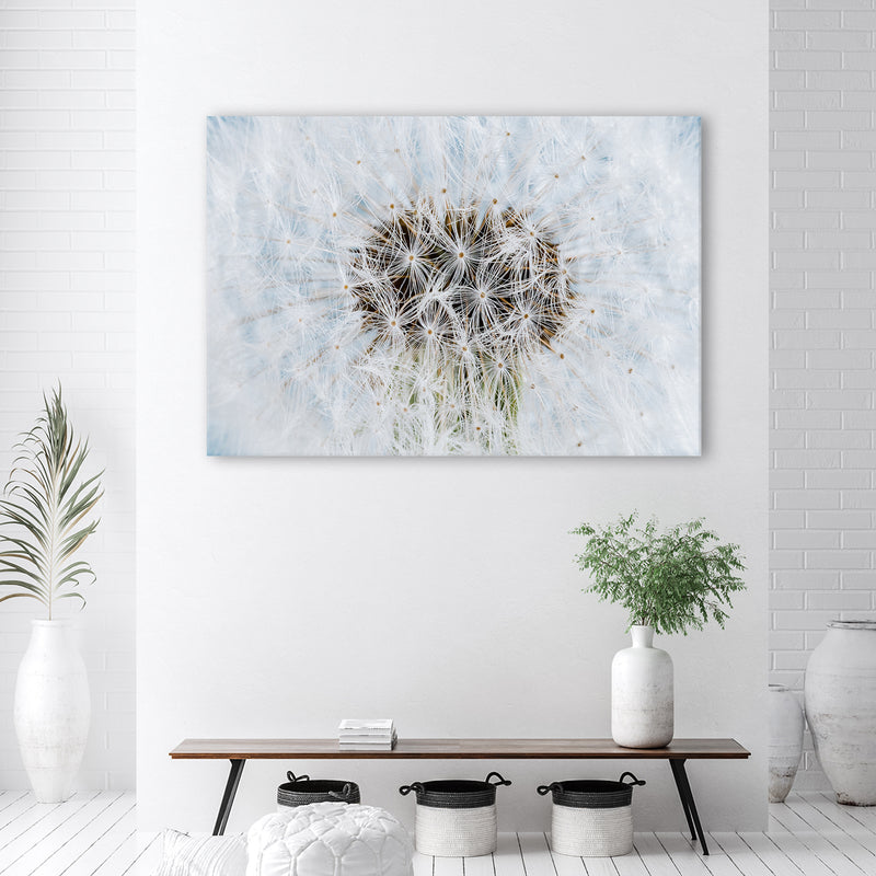 Deco panel print, White dandelion flowers