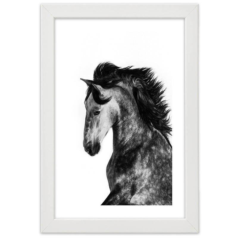 Picture in white frame, Wild steed