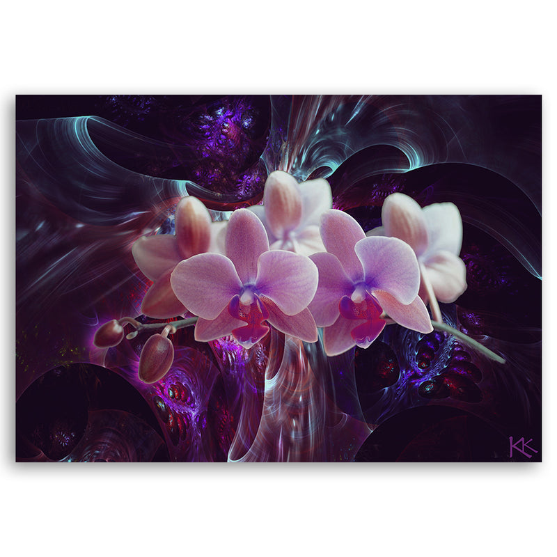 Cuadro decorativo, orquídea blanca sobre fondo oscuro