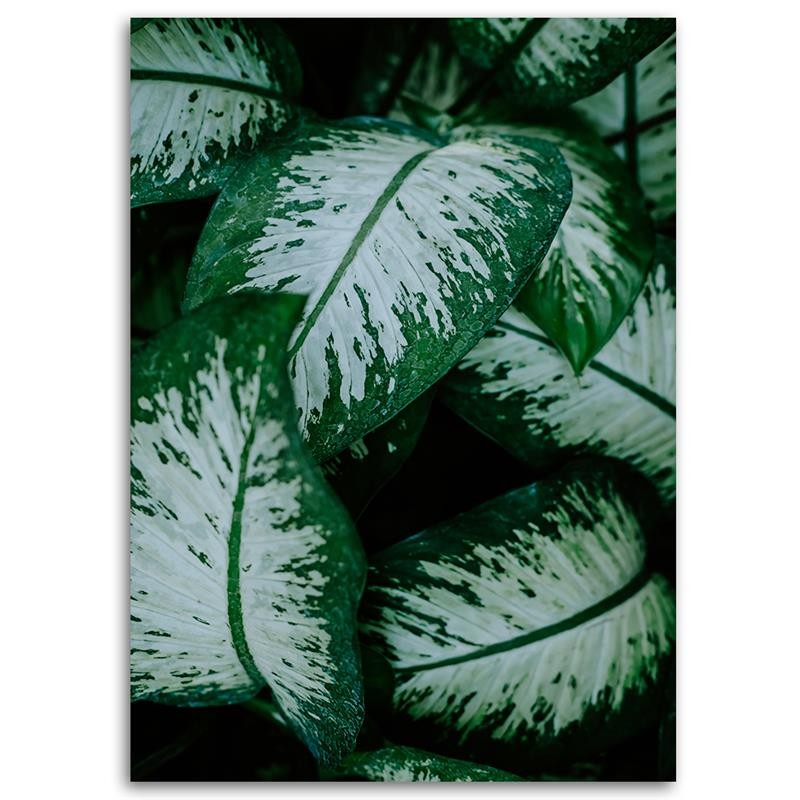 Deco panel print, Tropical leaves white and green