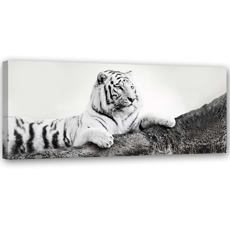 Canvas print, Watchful tiger