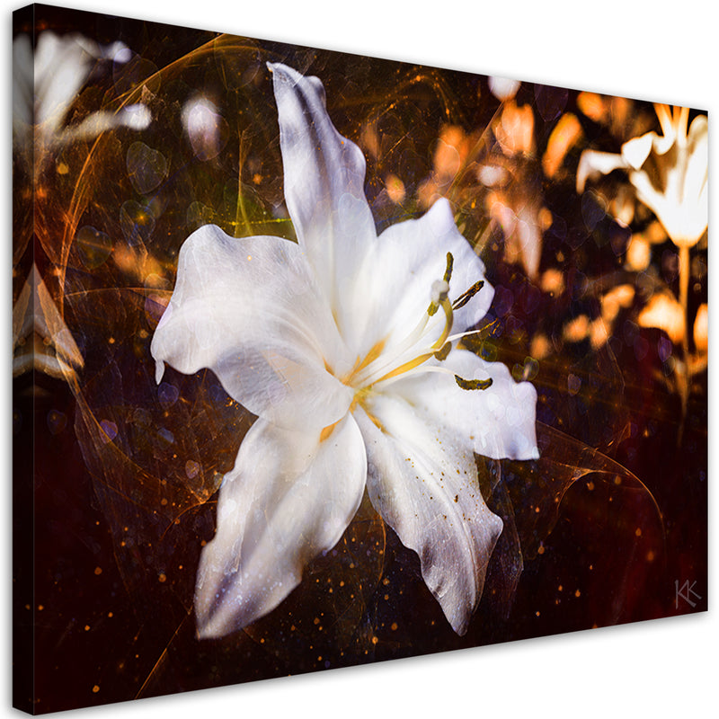 Canvas print, White lily on brown background