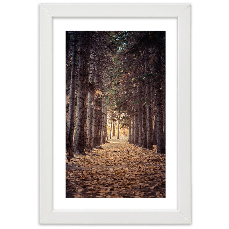 Picture in white frame, Forest in autumn