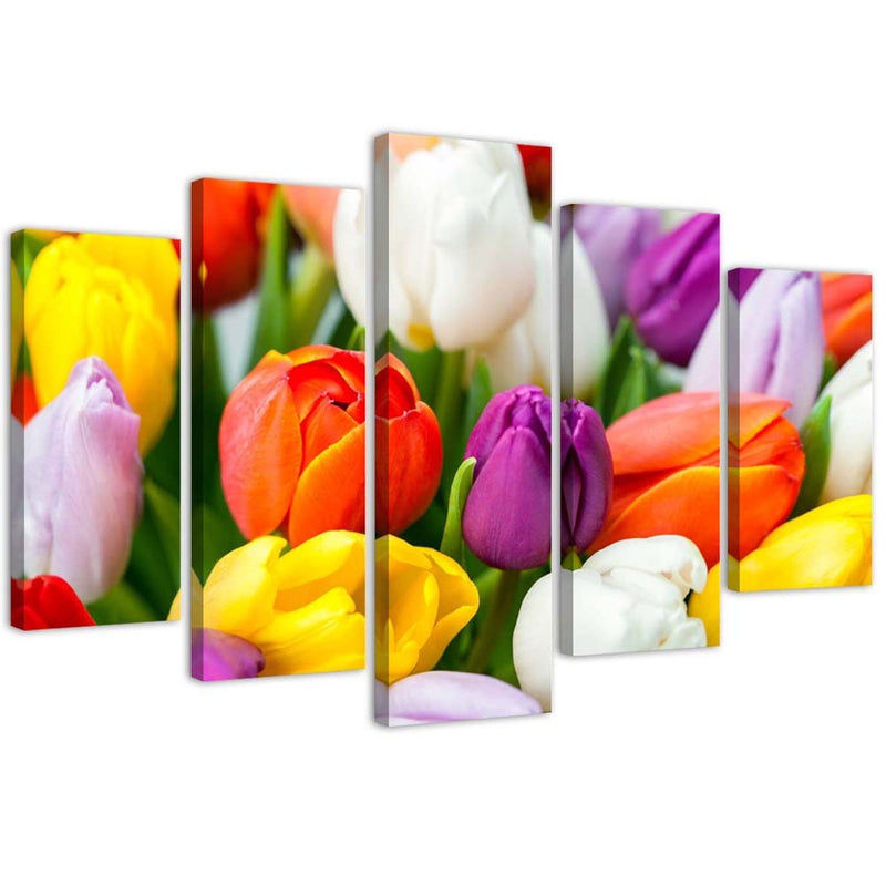 Cuadro en lienzo de cinco piezas, Tulipanes de colores