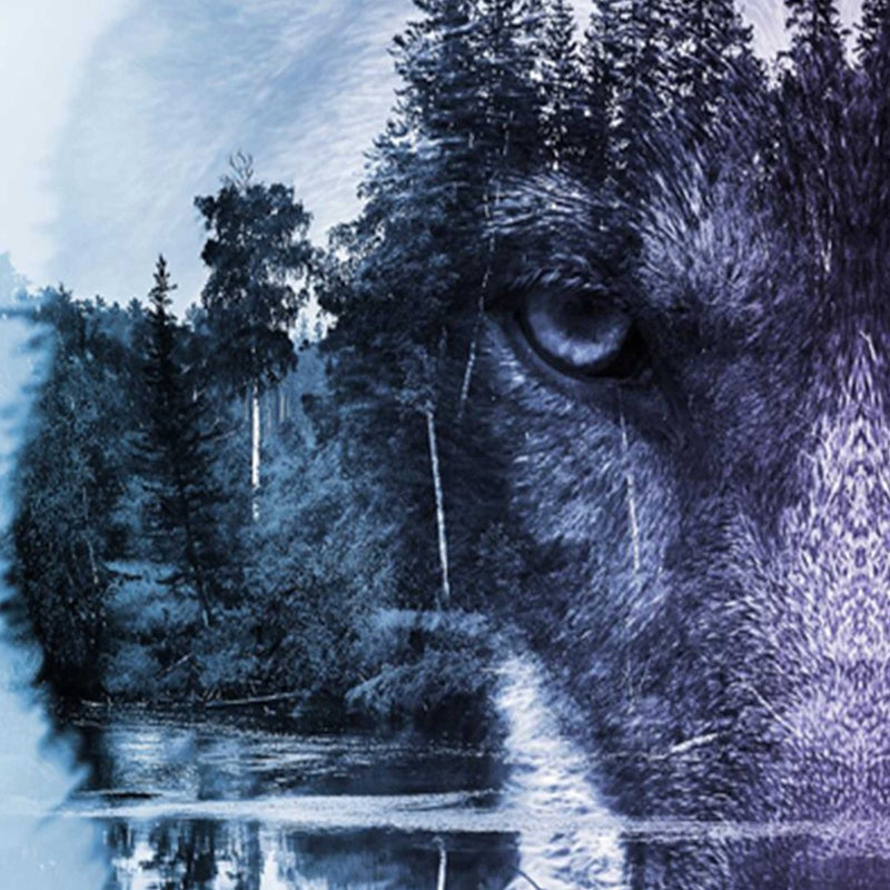 Room divider Double-sided, The wolf on the background of the forest in purples