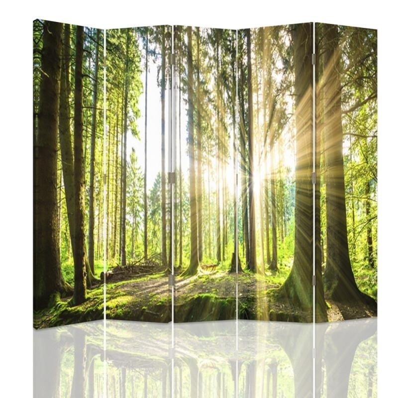 Room divider Double-sided, Sun in the forest