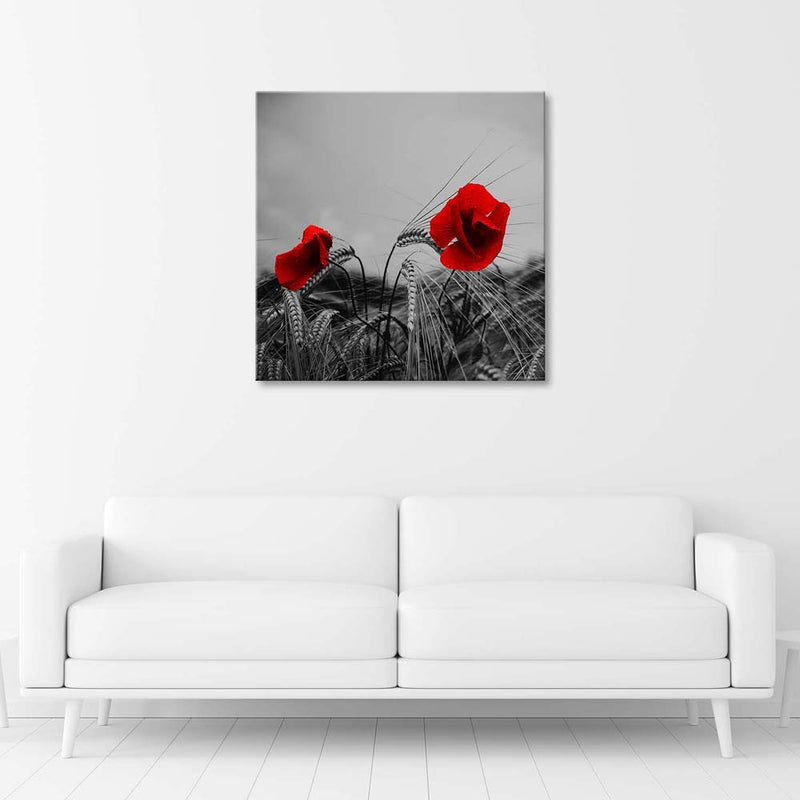 Canvas print, Red poppies and grain