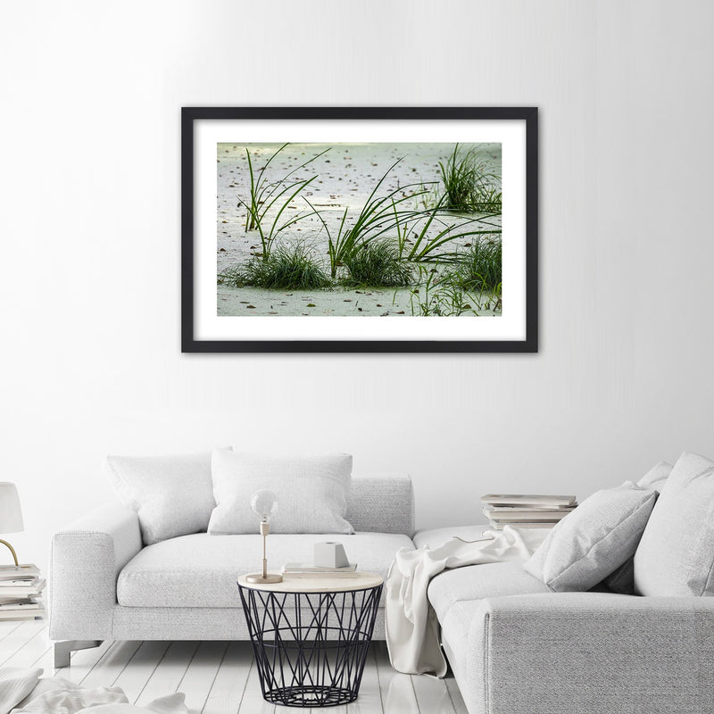 Picture in black frame, Grasses on the beach