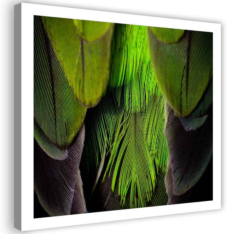 Canvas print, Lime green feathers