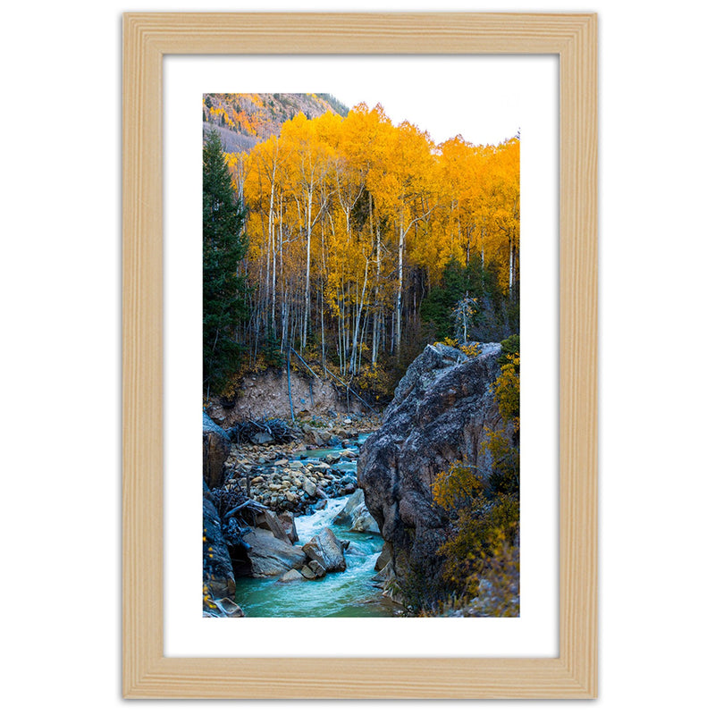 Picture in natural frame, A stream in the forest