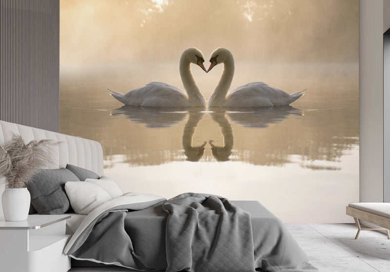 Wallpaper, Swans in love
