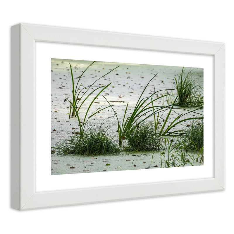 Picture in white frame, Grasses on the beach