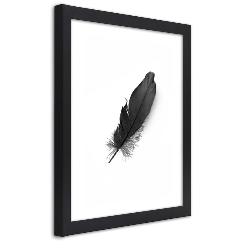 Picture in black frame, Black feather
