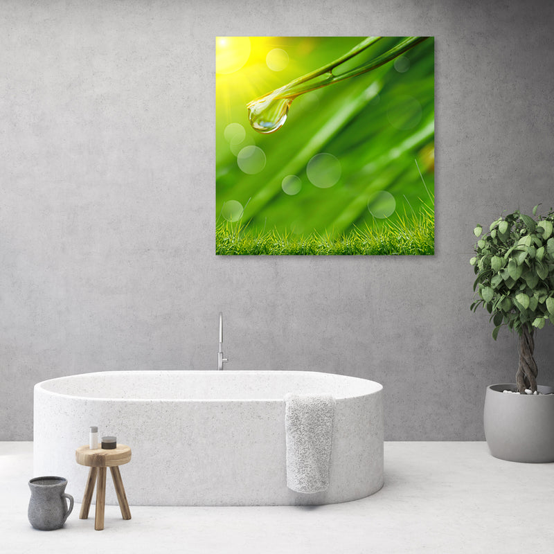 Canvas print, Dew on the grass