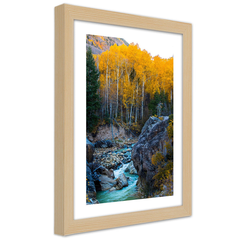 Picture in natural frame, A stream in the forest