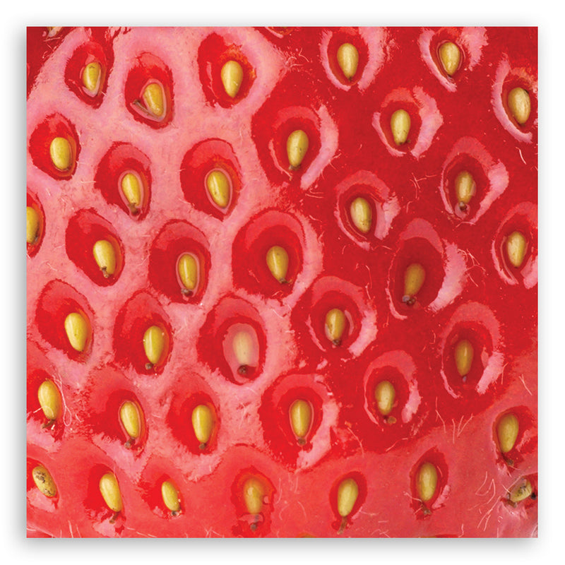 Deco panel print, Strawberry macro