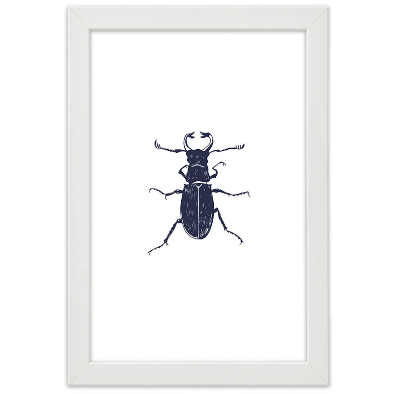 Picture in white frame, Black beetle