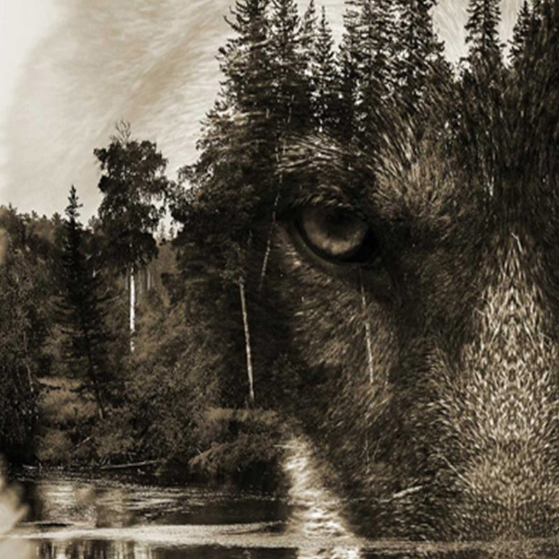 Separador de ambientes de doble cara, Lobo sobre el fondo del bosque en marrones