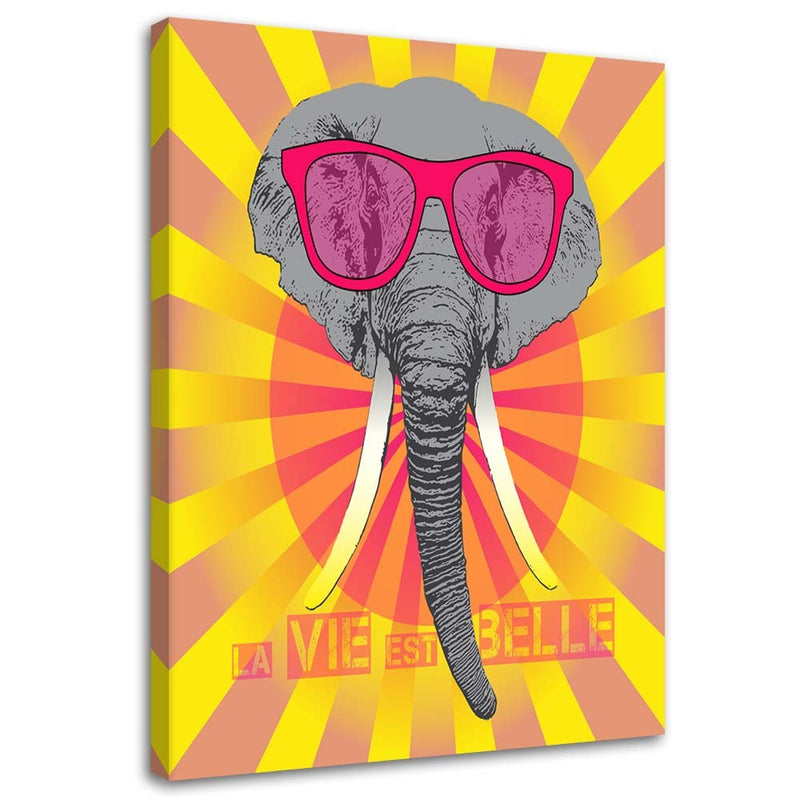 Canvas print, Elephant with glasses