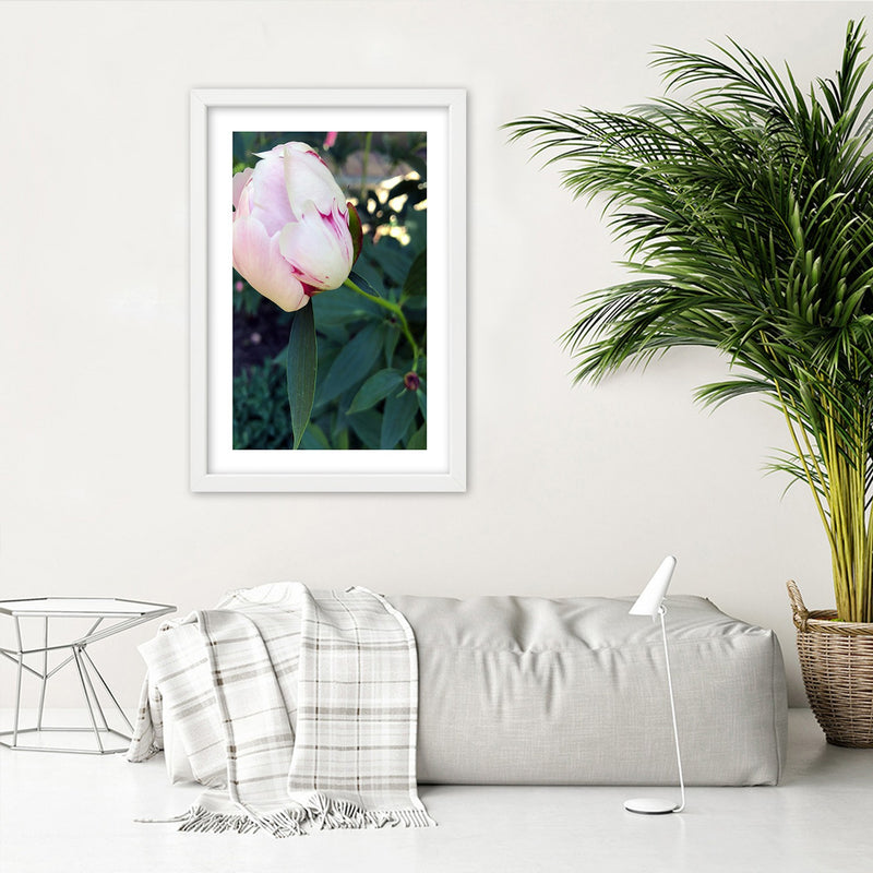 Picture in white frame, White peony