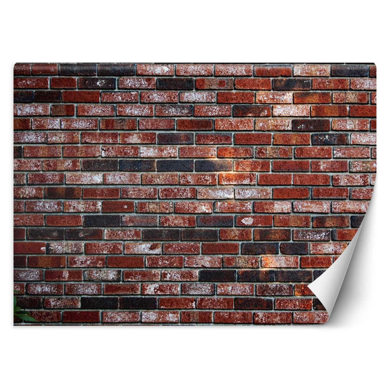 Wallpaper, Red brick brick wall