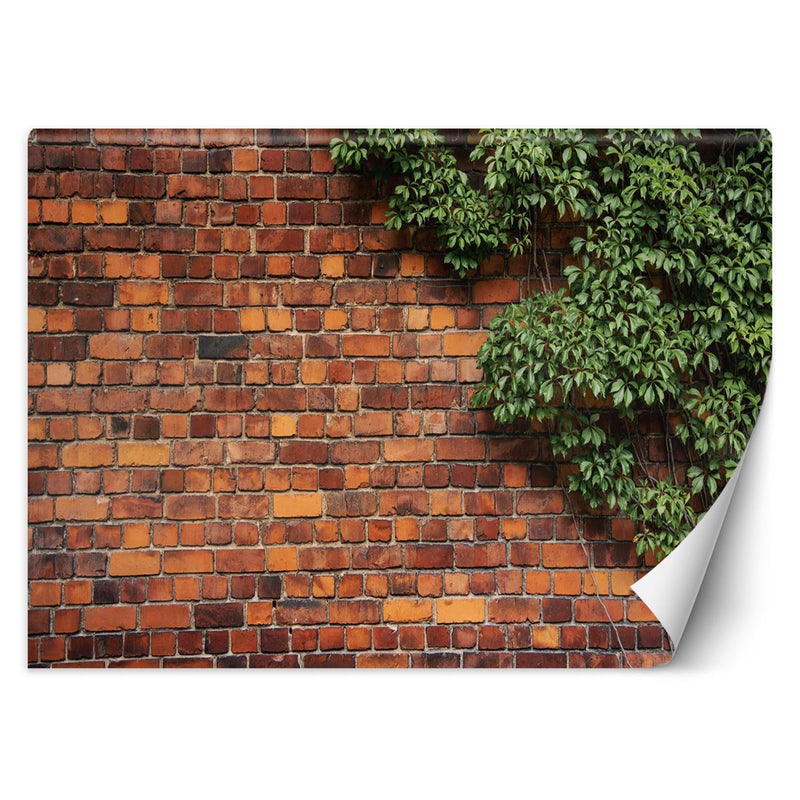 Wallpaper, Brick Wall and Vines