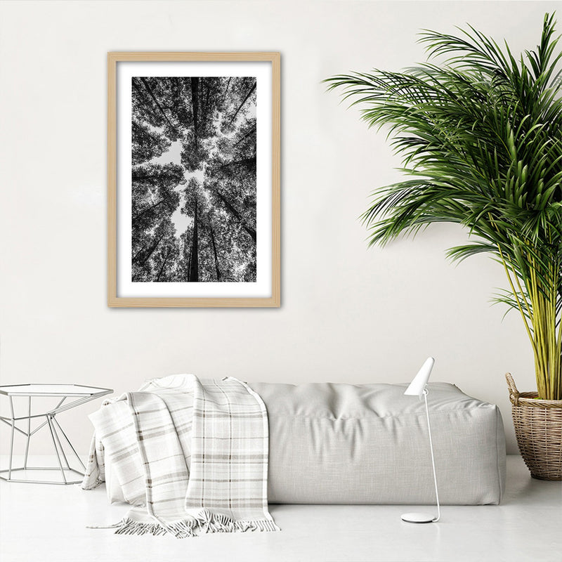 Picture in natural frame, Crowns of trees